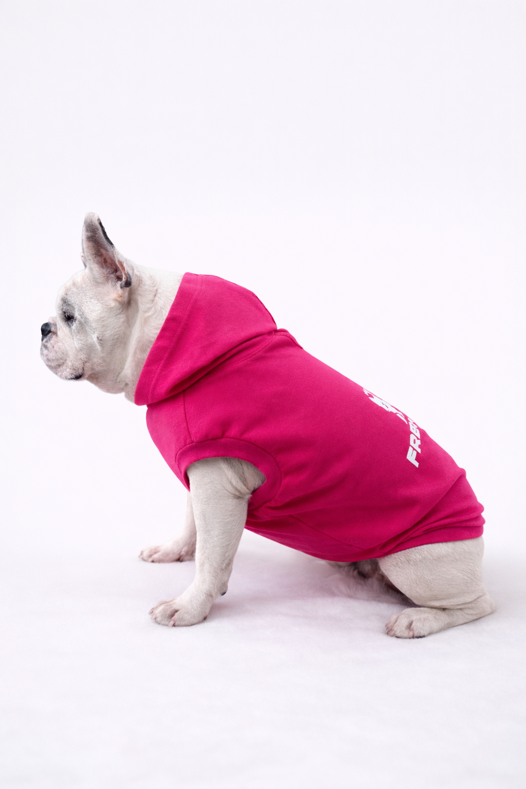Felpa Frenchie leggera