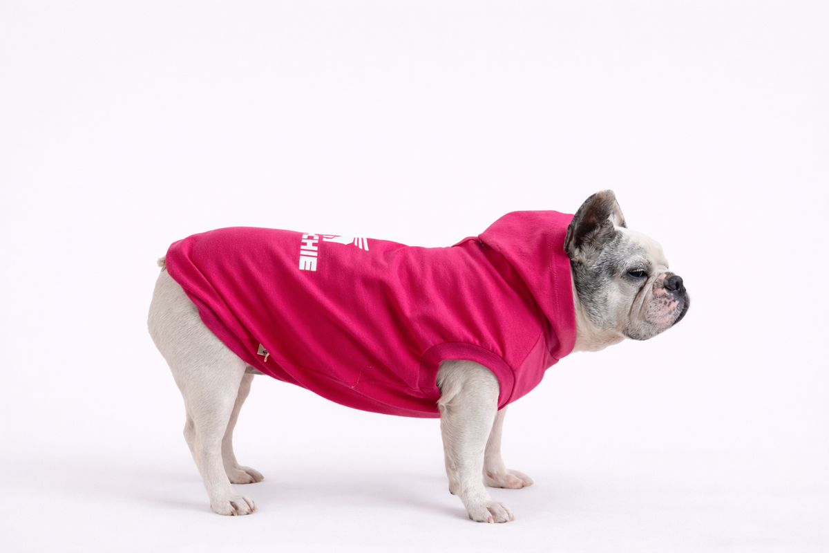 Felpa Frenchie leggera