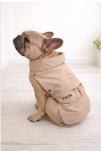 Trench Glamour Sartoriale
