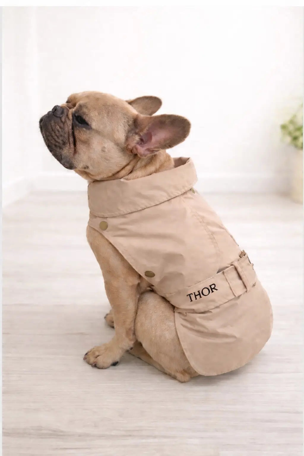 Trench Glamour Sartoriale
