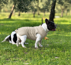 Maglia a trecce