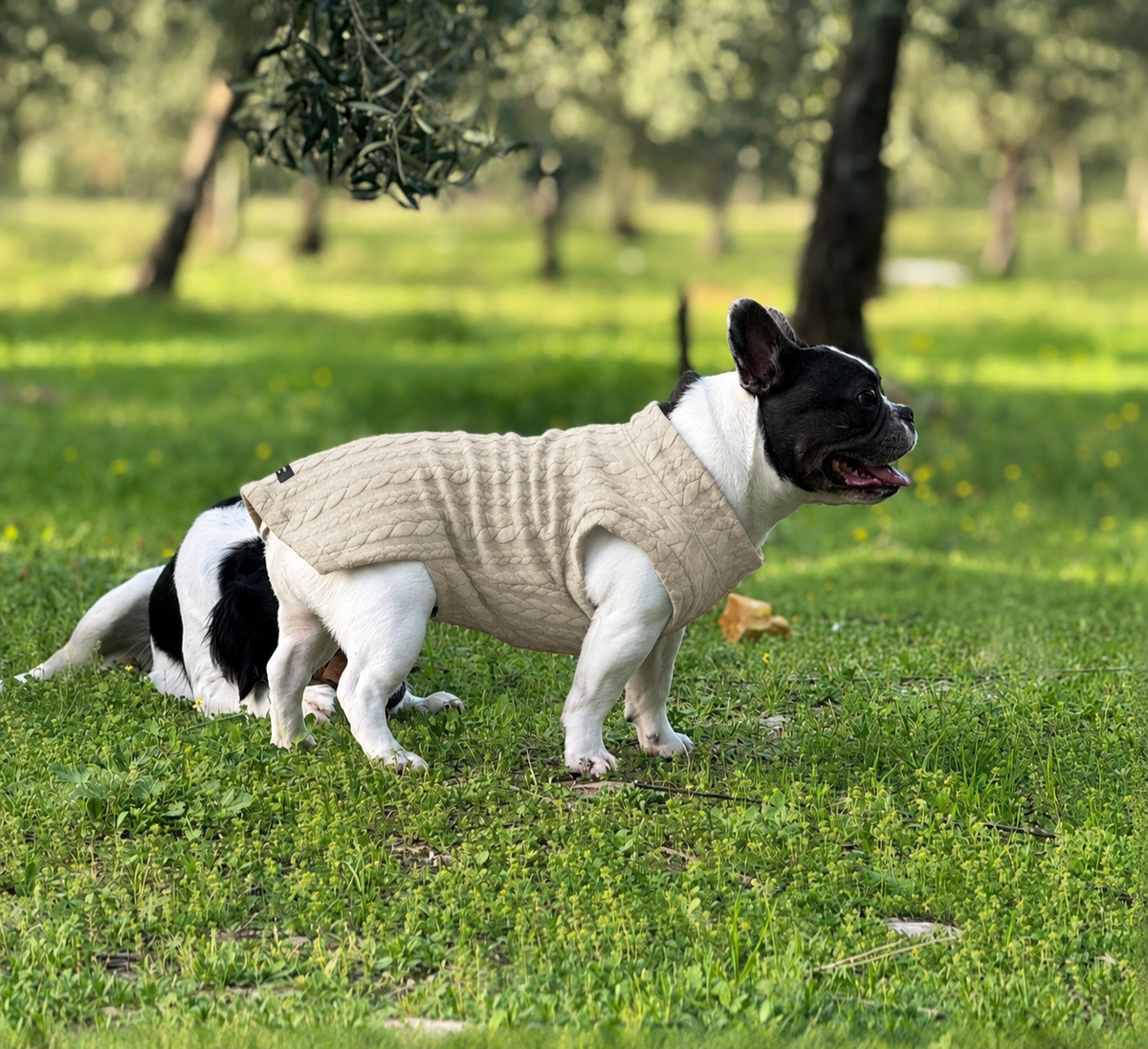 Maglia a trecce