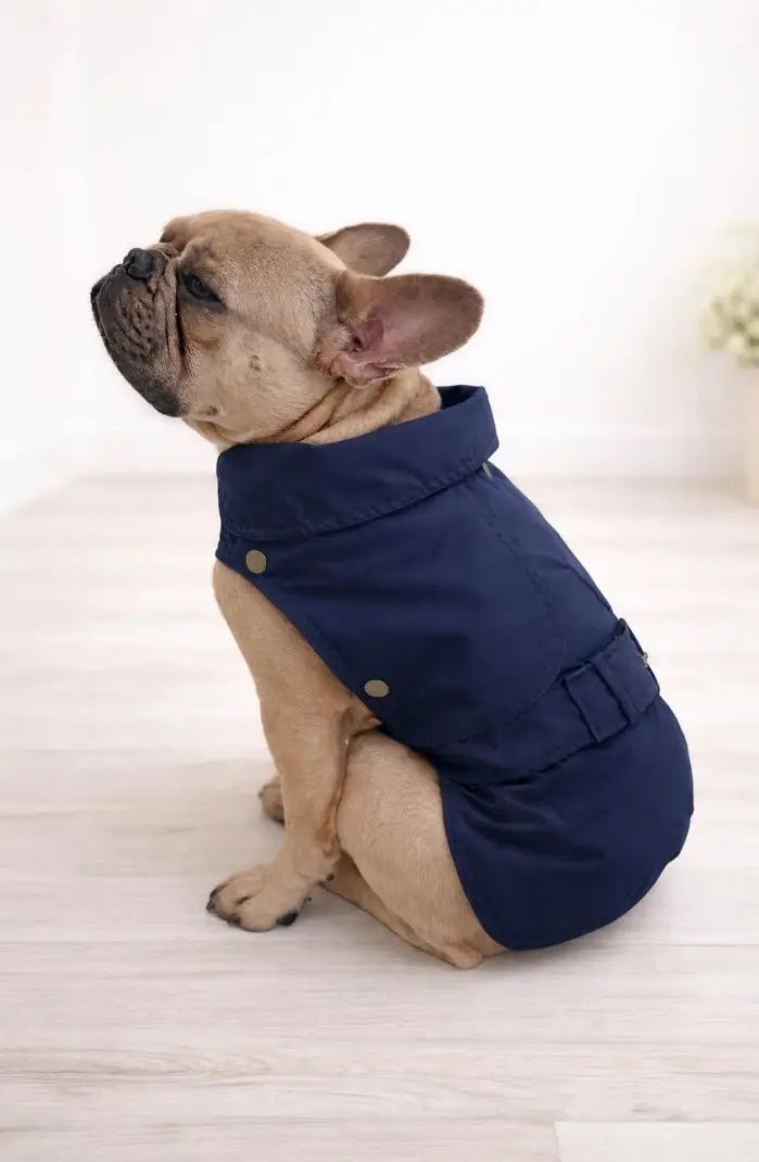 Trench Glamour Sartoriale