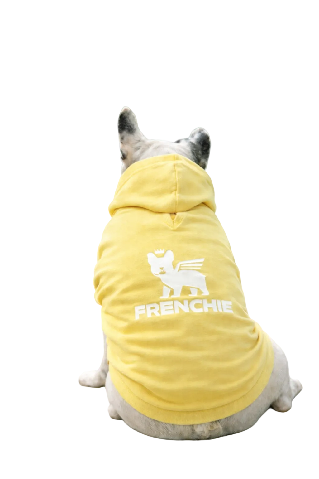 Felpa Frenchie leggera