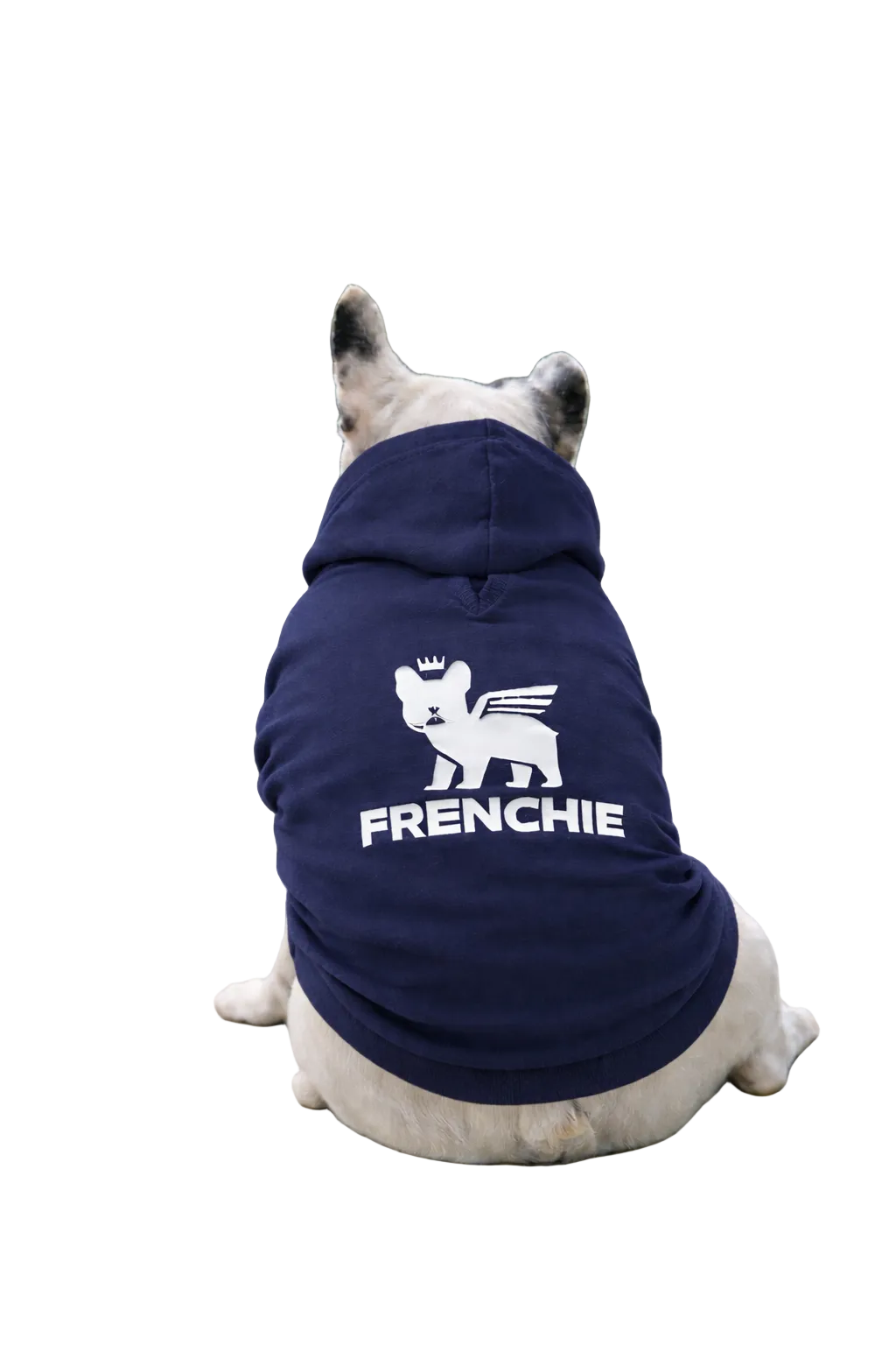 Felpa Frenchie leggera