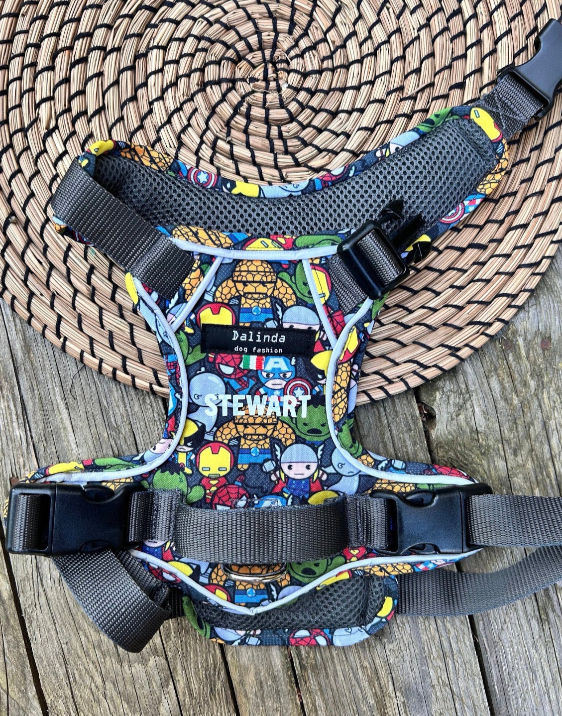 Pettorina Trainer comfort fit
