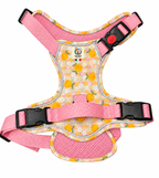 Pettorina Trainer comfort fit