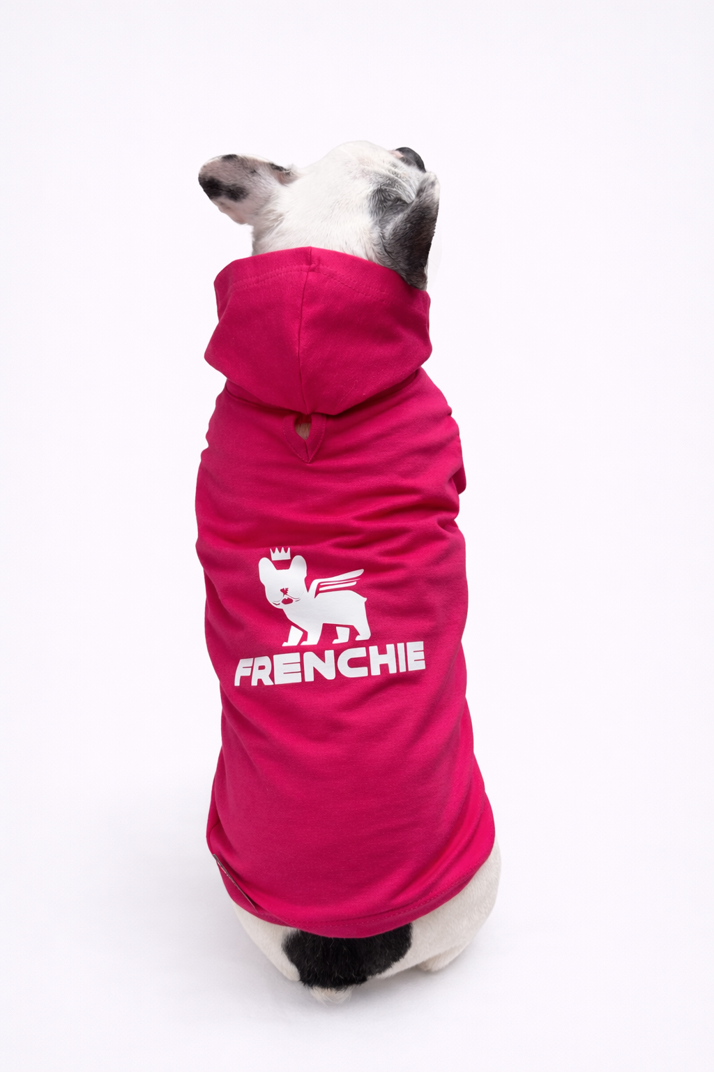 Felpa Frenchie leggera