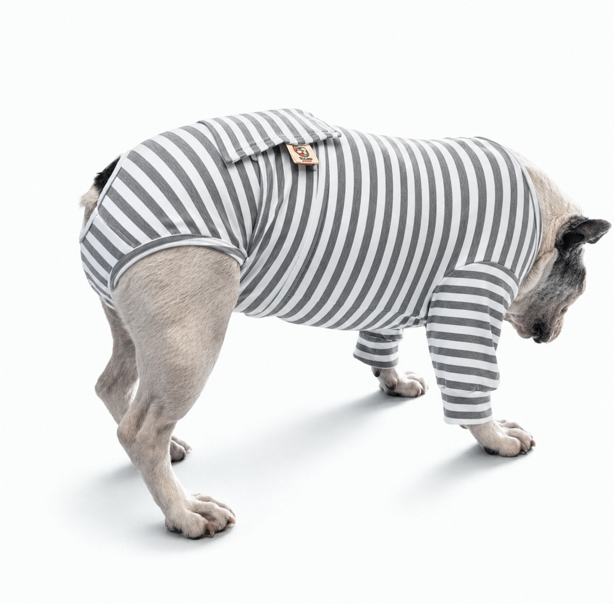 Body post operatorio per cane