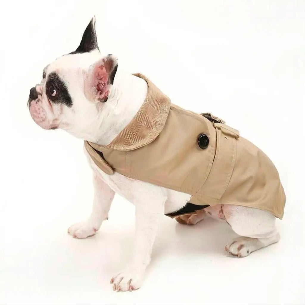 Trench Glamour Sartoriale