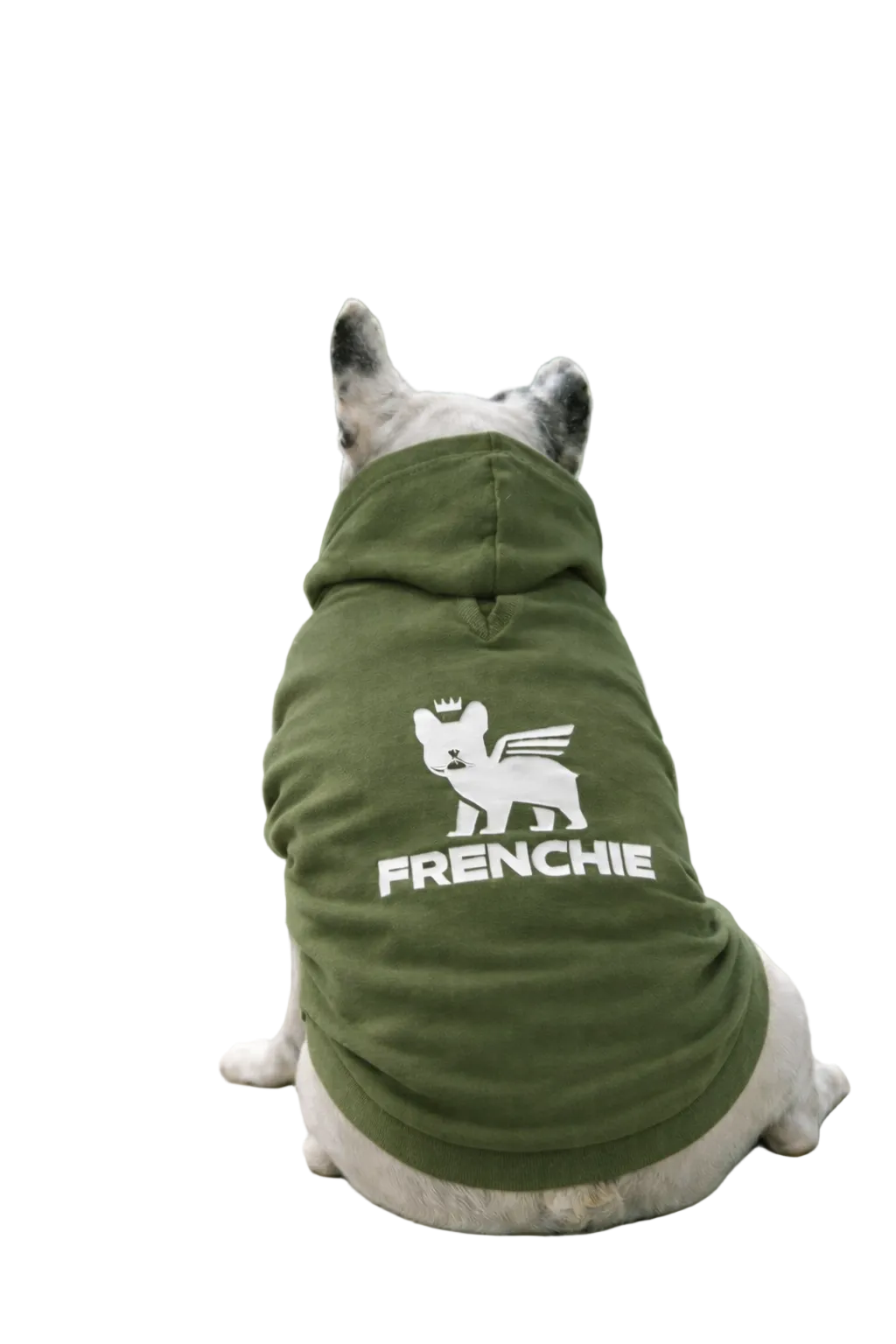 Felpa Frenchie leggera