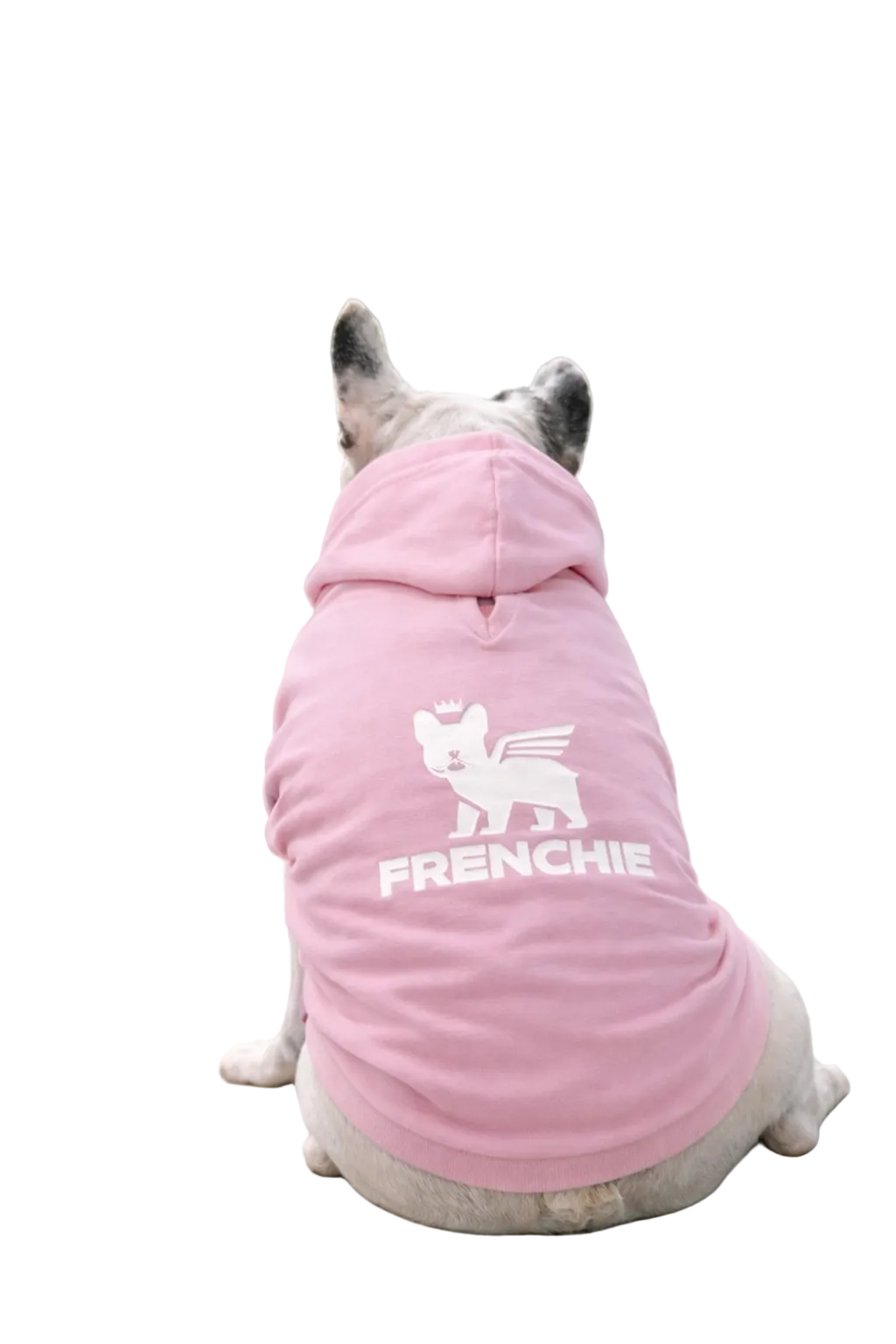 Felpa Frenchie leggera