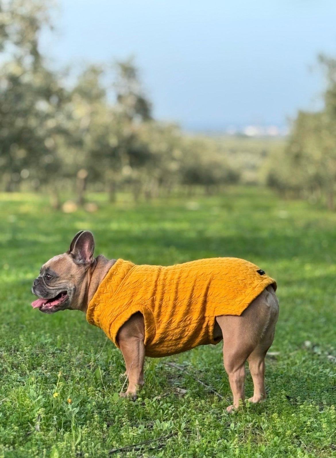 Maglia a trecce