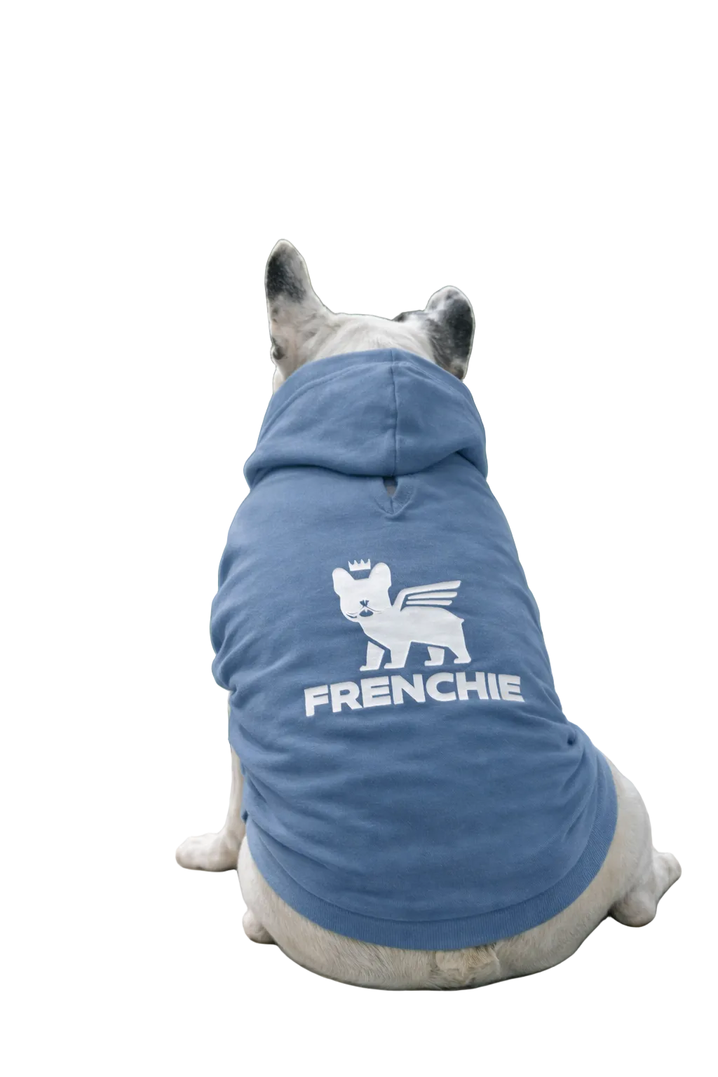 Felpa Frenchie leggera