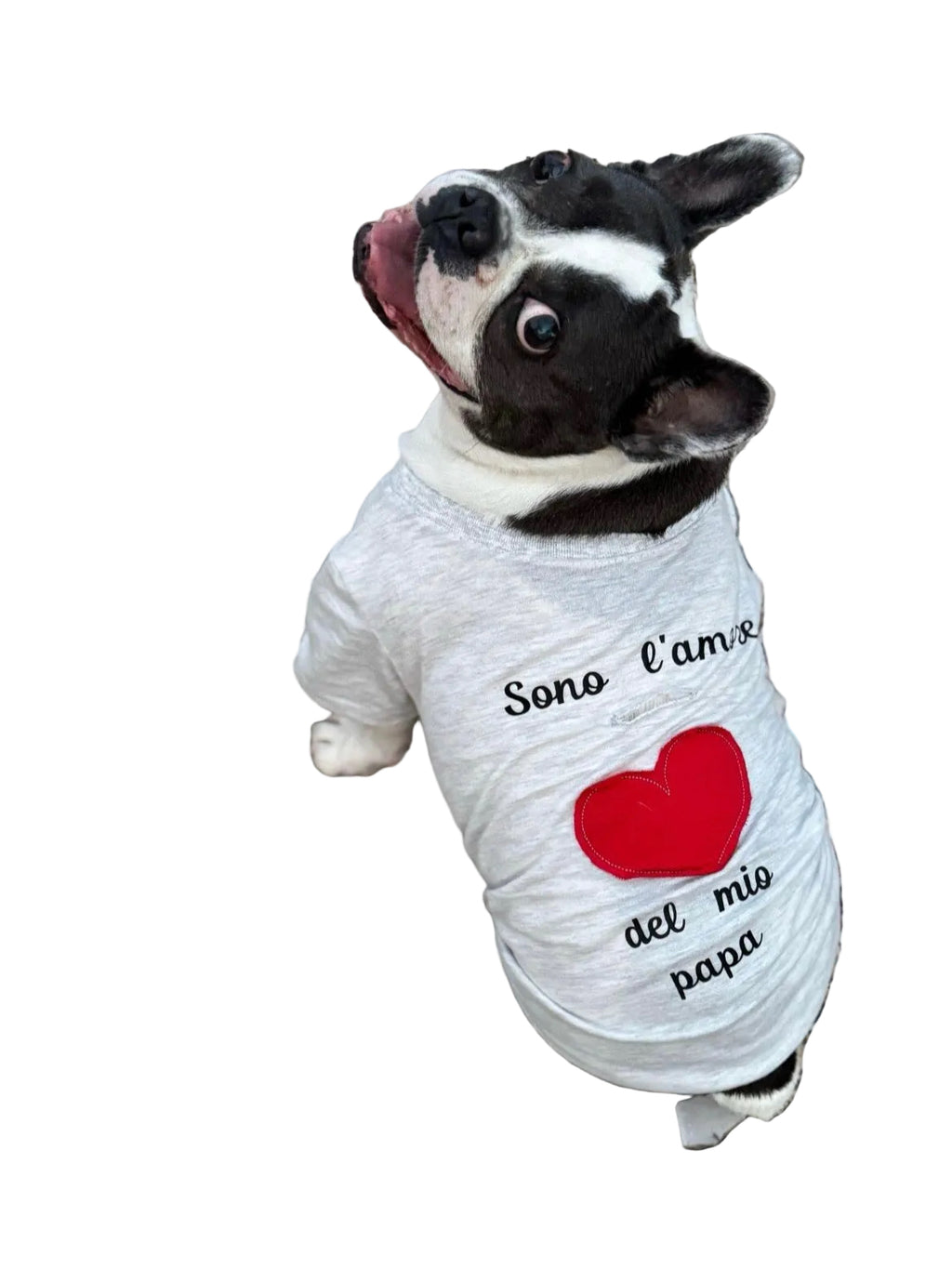 T-shirt “Sono l’amore della mia mamma / del mio papà”