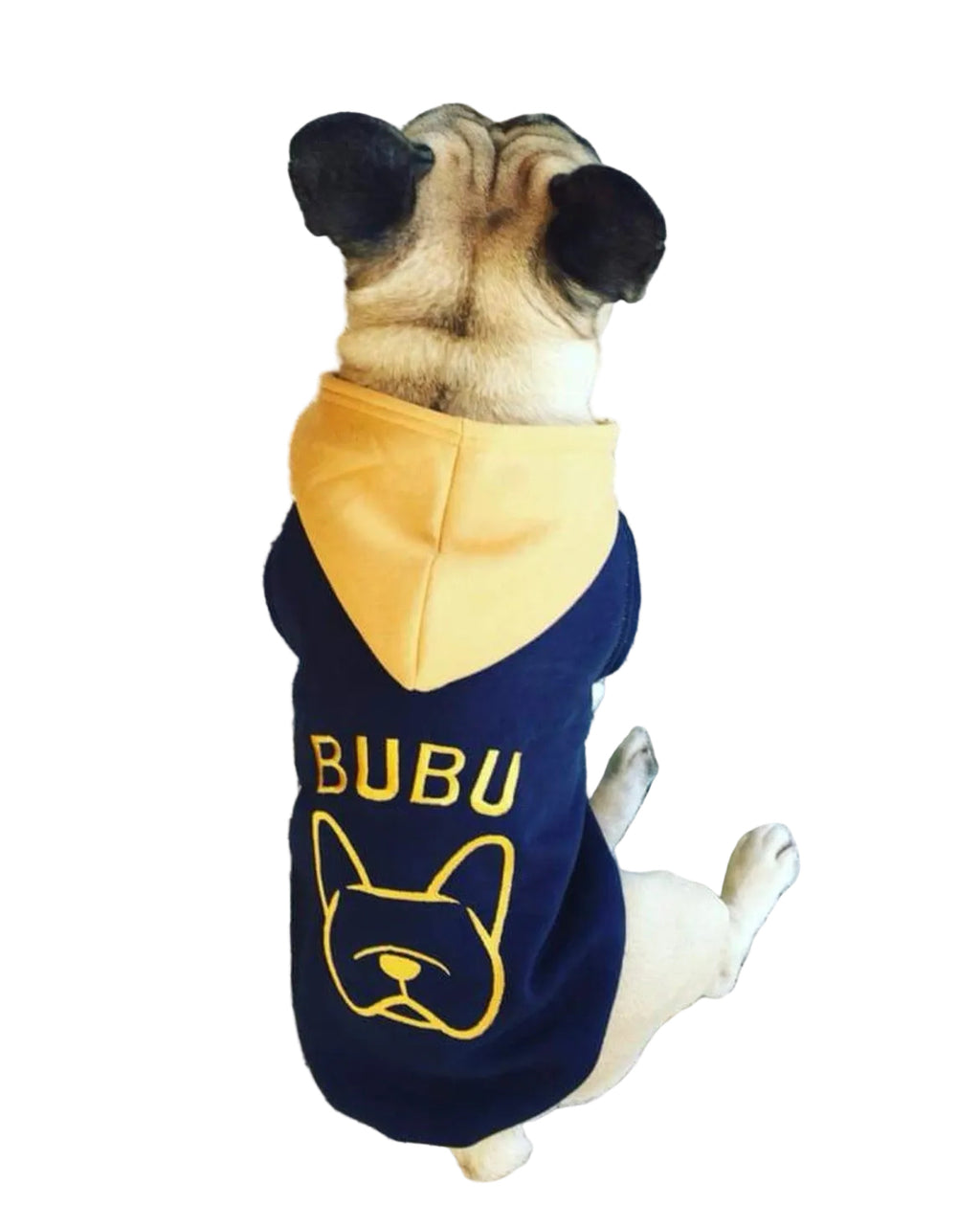Felpa con Musetto bulldog Stilizzato.