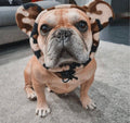 Scalda orecchie per bulldog francese- Tg. Unica