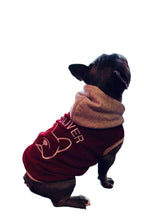 Felpa con Musetto bulldog Stilizzato.
