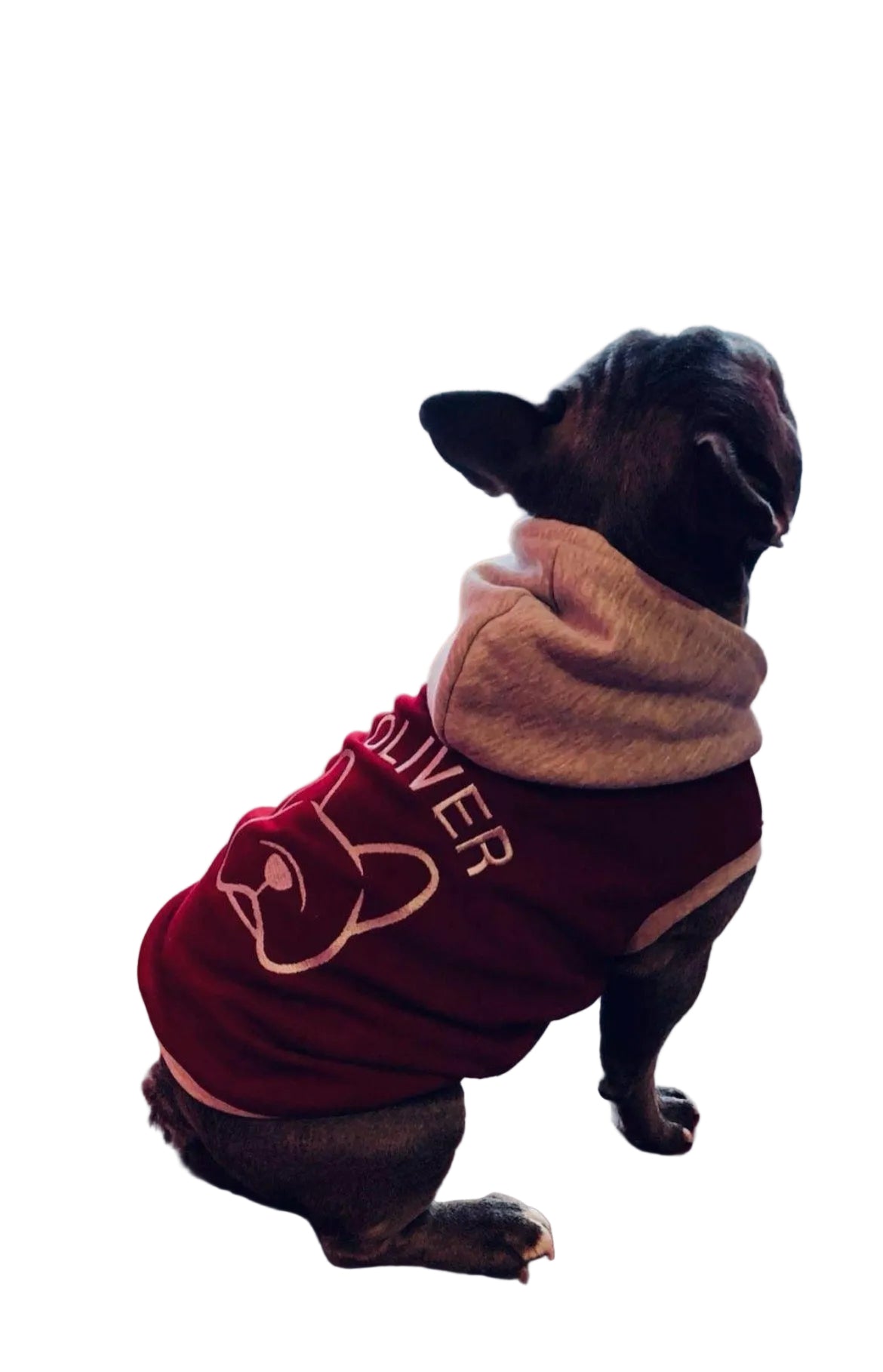 Felpa con Musetto bulldog Stilizzato.