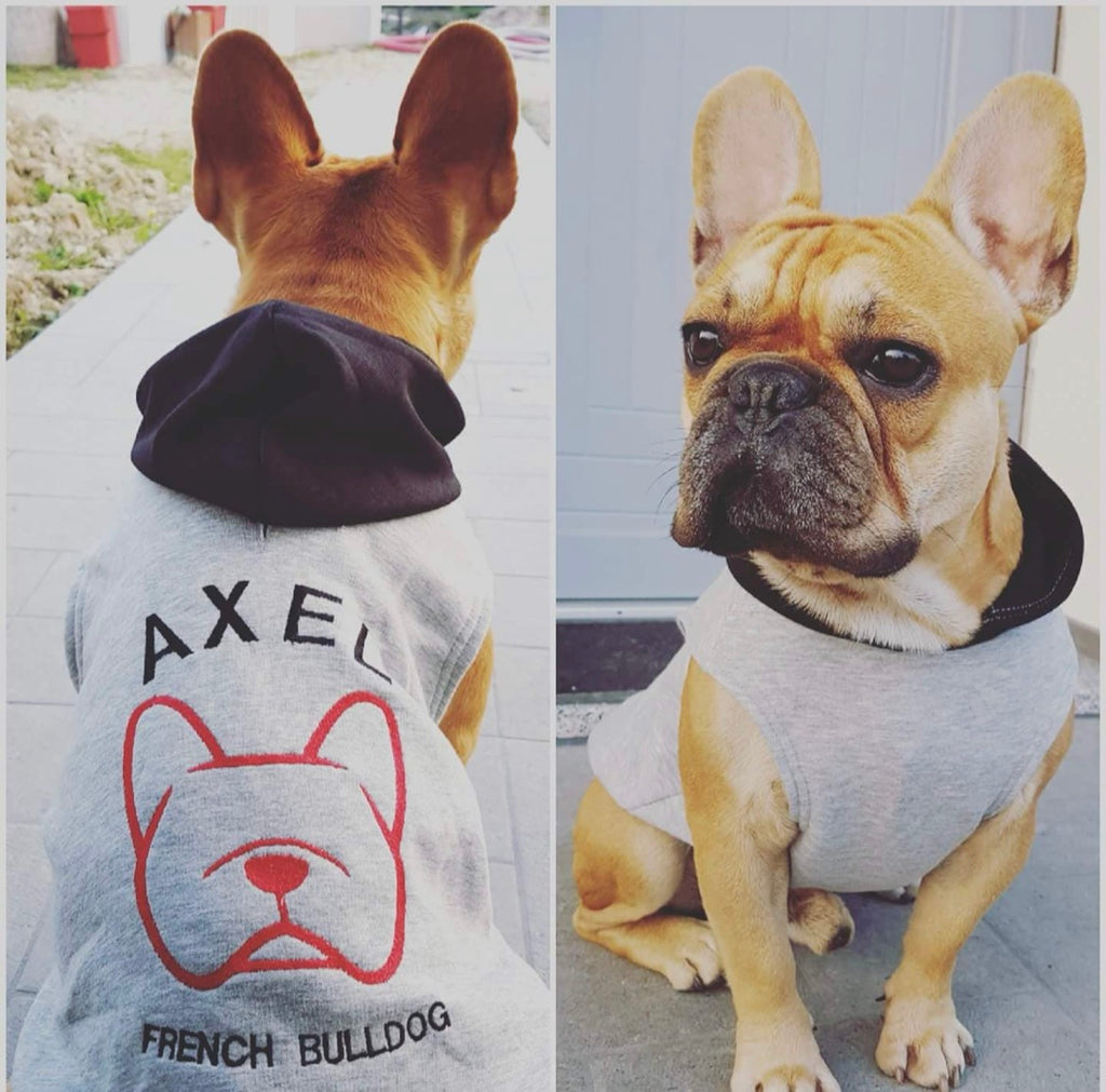 Felpa con Musetto bulldog Stilizzato.