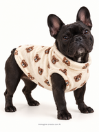 Pile peluche orsetti