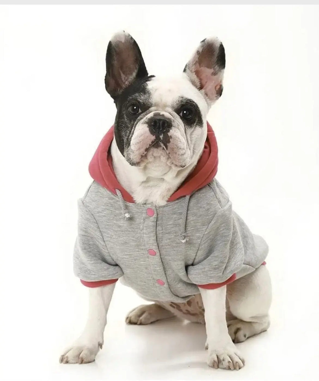 Felpa Dalidà per Bulldog Francese