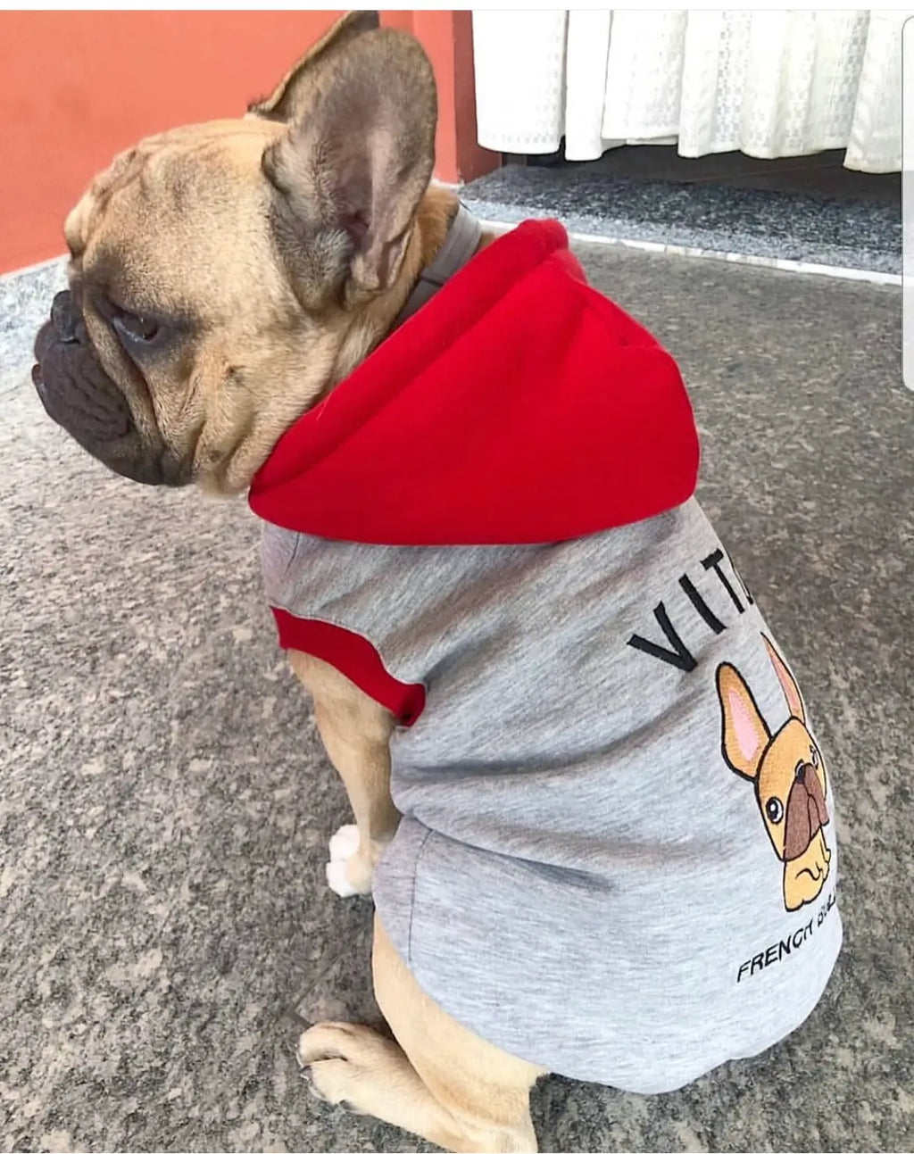 Felpa Dalidà per Bulldog Francese