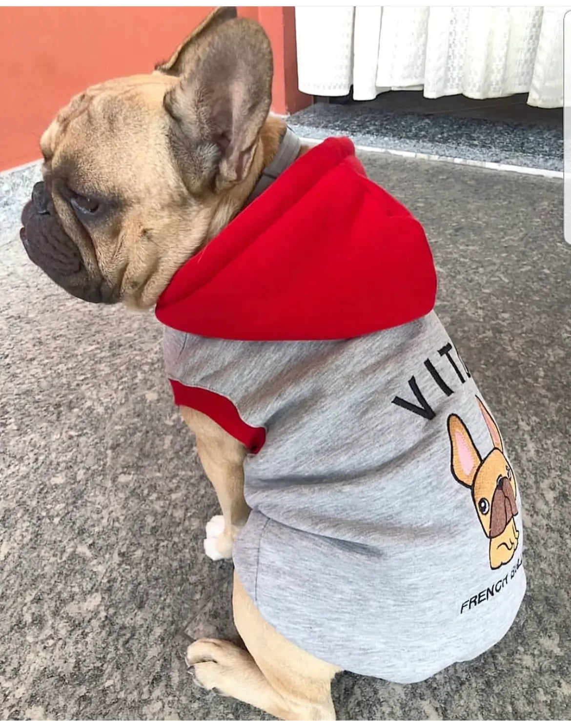 Felpa Dalidà per Bulldog Francese